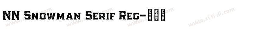 NN Snowman Serif Reg字体转换